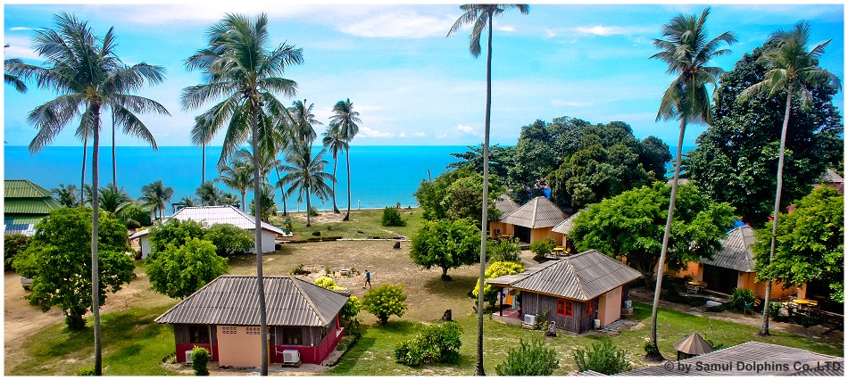 Lamai Chalets Resort